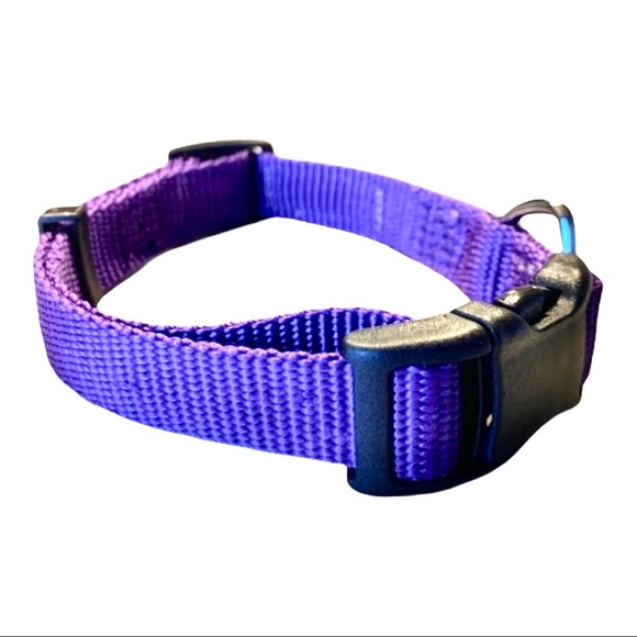 💕HP💕Purple dog collar and green dog brush bundle - Picture 6 of 8